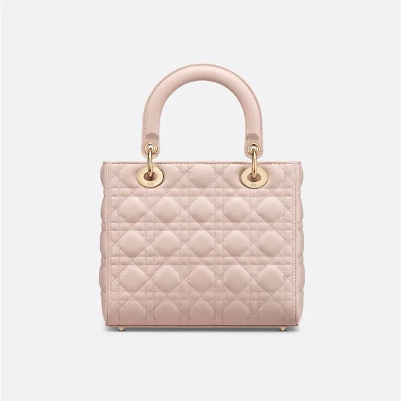 Medium Lady Dior Bag BRAND NEW!